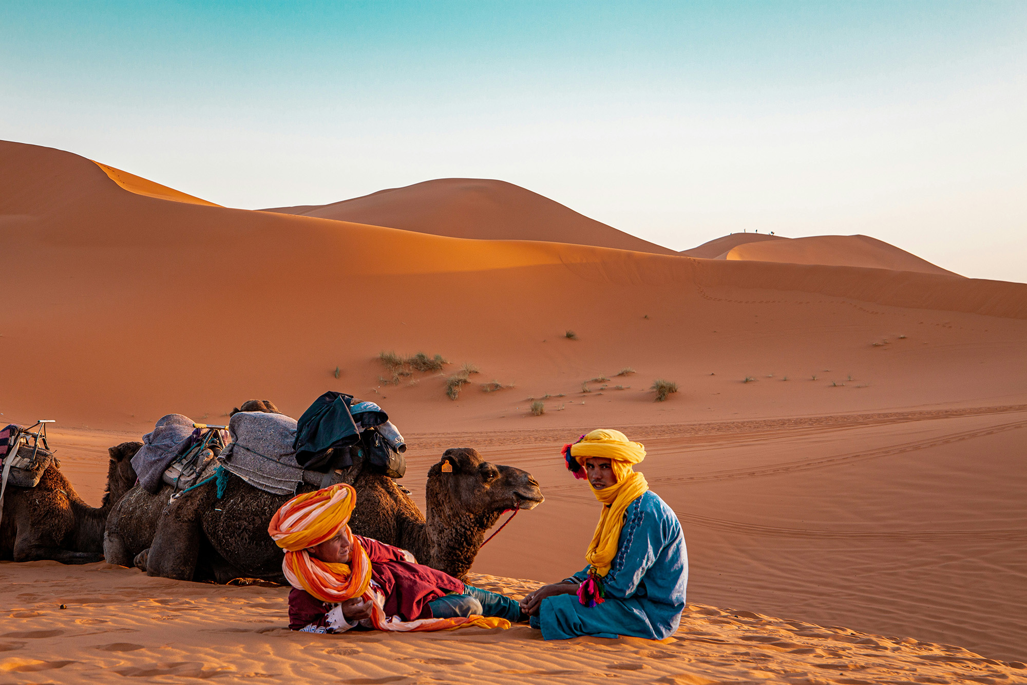 morocco người dẫn đường berber