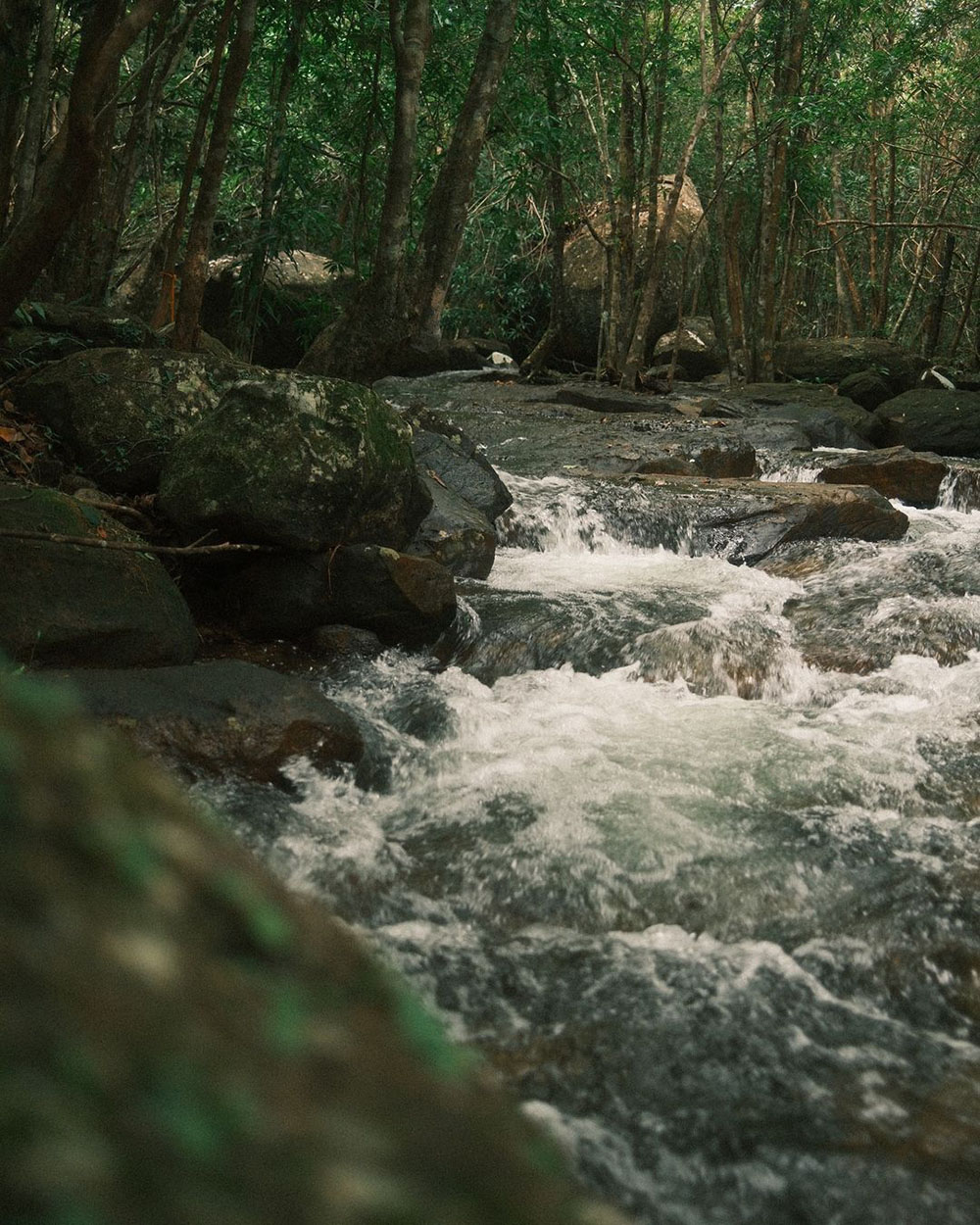 suối tranh phú quốc