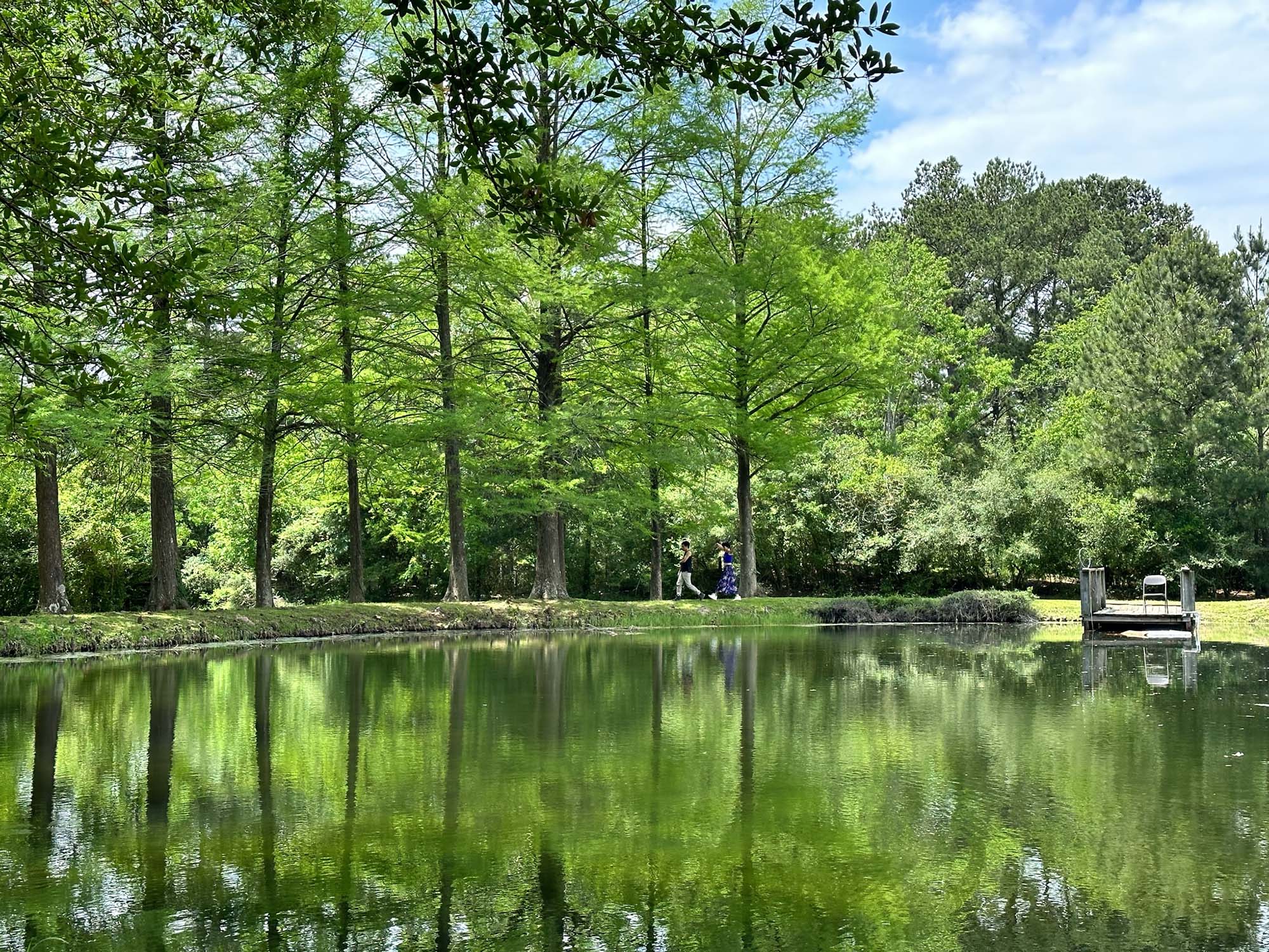 thiên nhiên sống chậm ở cypress